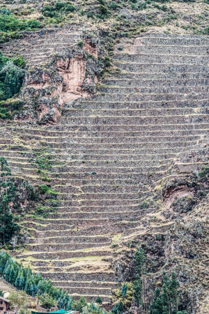 Pisac, Incas ruins in the peruvian Andes at Cuzco Peruの写真素材