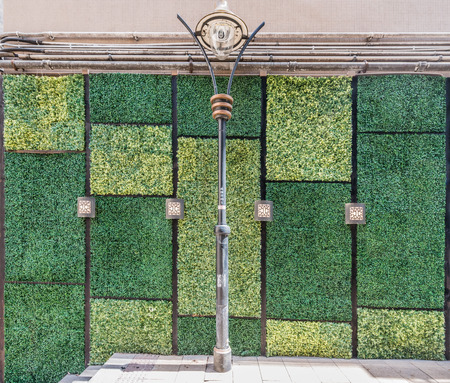 grass wall wall  doors entrance design at Soho Central in Hong Kongの写真素材