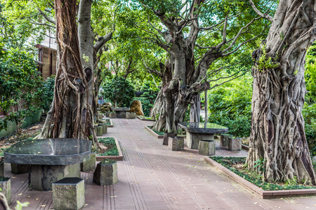 garden Chi Lin Nunnery Kowloon in Hong Kongの写真素材