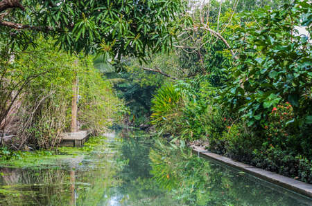 Amphawa Bangkok backwaters Bangkok Thailandの写真素材