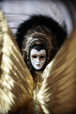 wonderful fashion show of disguised people during the venice carnival in italy の写真素材