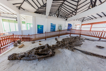 Villa De Leyva, Colombia  - February 7, 2017 : Museo Del Fosil dinosaur fossil Museum near Villa de Leyva Boyaca in Colombia South Americaのeditorial素材