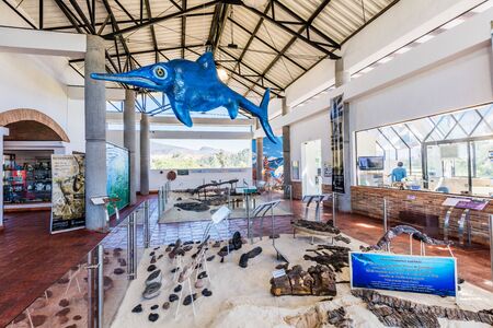 Villa De Leyva, Colombia - February 7, 2017 : fossil dinosaur of Centro de Investigaciones PaleontolÃÂ³gicas Villa de Leyva Boyaca in Colombia South Americaのeditorial素材