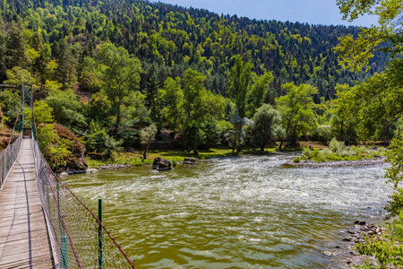 Koura river landmark of the thermal city of Borjomi Samtskhe Javakheti region Georgia eastern Europe