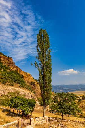 Ardvi Poplar tree landscape landmark Lorri Armenia eastern Europeの写真素材