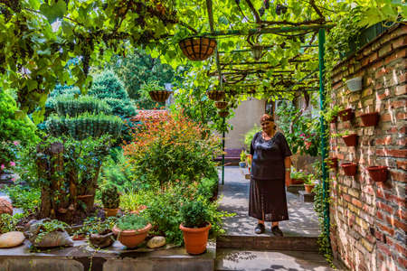 old town Tbilisi Georgia Europe landmarkのeditorial素材