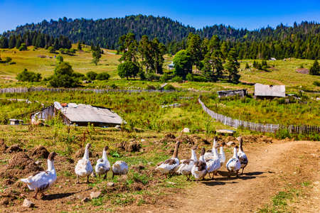 Samtskhe Javakheti Georgia Europe landmarkの写真素材