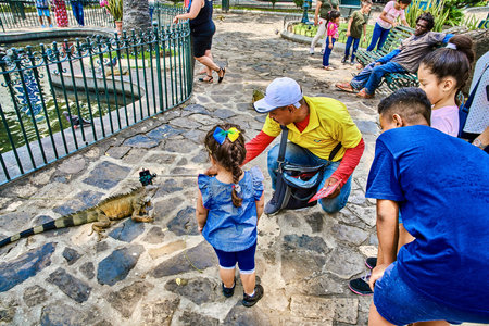 Guayaquil , Ecuador- March 7 , 2020 : people children in Seminario Park playing with iguanasのeditorial素材
