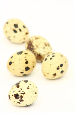 quail egg の写真素材
