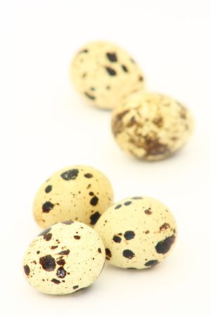 quail eggの写真素材