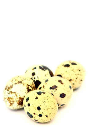 quail egg の写真素材