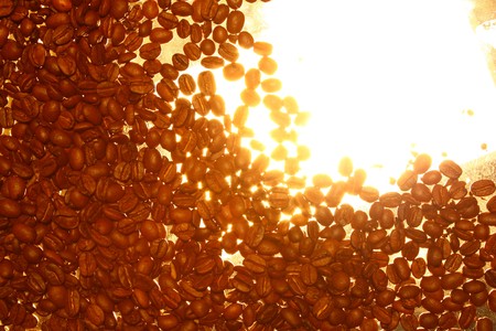 cool hot for coffee designの写真素材