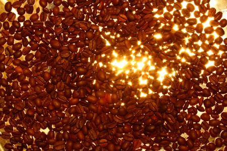 rays makes his way through the coffee grainsの写真素材