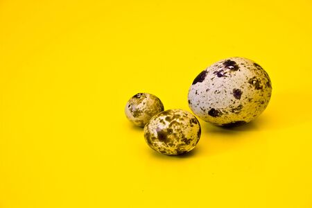 quail eggs of different sizes on a yellow backgroundの写真素材