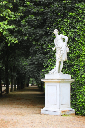 Statue in viennaの写真素材