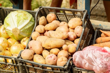 fresh organic vegetables eco food on market. boxの写真素材