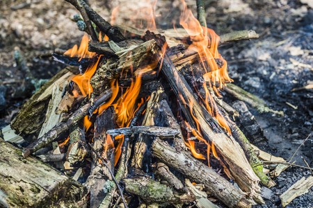 Burning coal in barbecue, background fireの写真素材