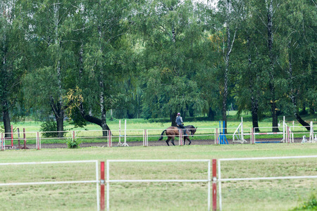 Riding school for dressage horses. Outdoor playgroundの写真素材
