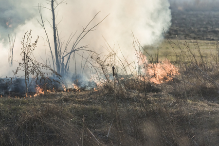grass field on fire close to villageの写真素材