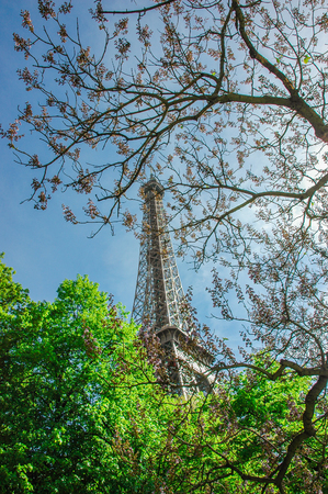 famous Eiffel Tower in Paris, France. summerの写真素材
