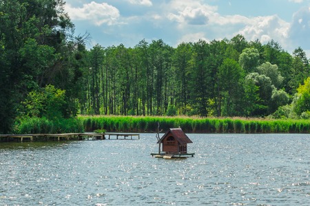 Ducks at a floating duck house on the lake.の写真素材