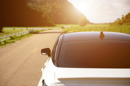 Close-up rear view of a white car with morning light with mountains and sky on the road.