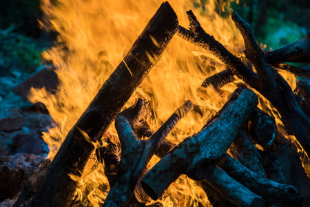 Wind blowing on a flaming trees during a forest fire.
