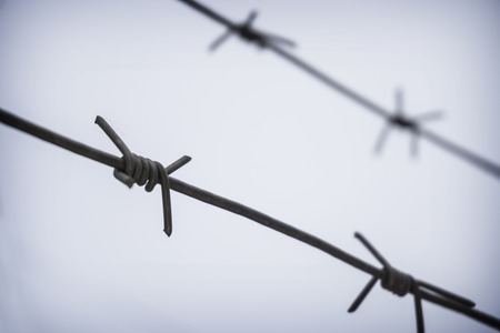 Rusty barbed wire on autumn sky backgroundの写真素材