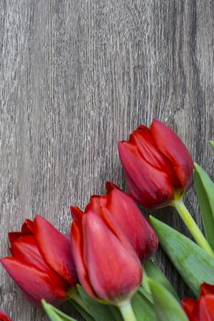 Red tulips on wooden background with space for textの写真素材