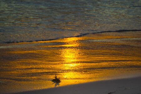 Golden sunset on the ocean shore. The sun is reflected in the coastal waveの写真素材