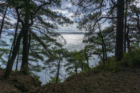 Beautiful view of the Black Sea from top of the hill of the green rain forest. Blue sky with clouds. Sun light reflection.の写真素材