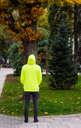 Autumn. Young man stands back looking up to tree in an Urban Park in Europeの写真素材