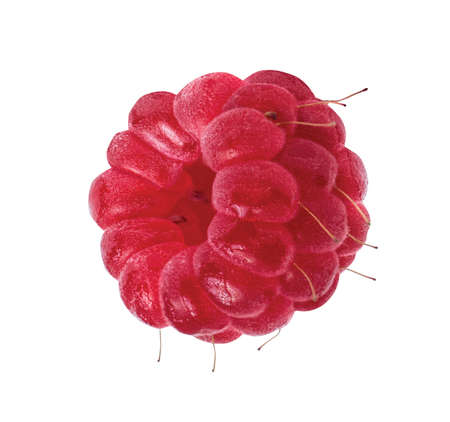 Ripe red raspberry fruit isolated on white backgroundの写真素材