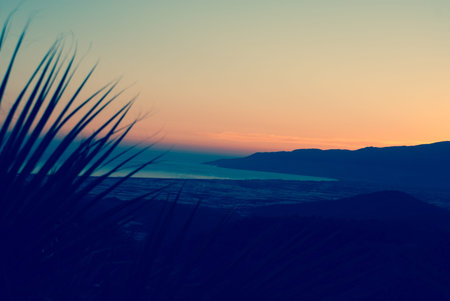 Background image. Desktop wallpapers. Background for web design and advertising.の写真素材