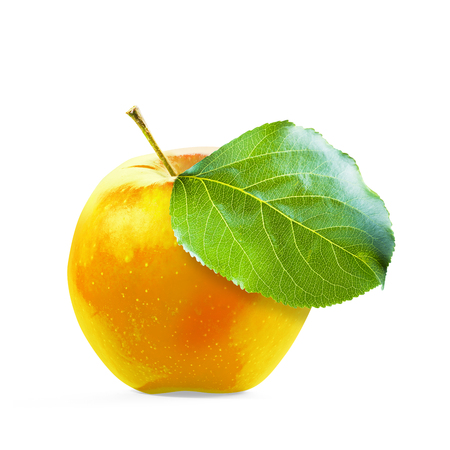 Yellow Apple isolated on white backgroundの写真素材