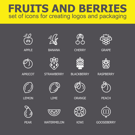 Fruit and berries icon collection - illustration. Fruit and berries icons set for creating and packaging. Fruit and berries line icons.のイラスト素材