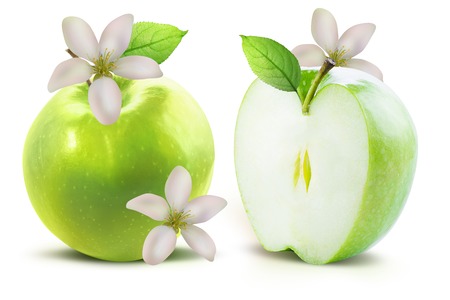 Green apple and half of green apple isolated on white background with clipping path. Two juicy ripe colored apples on a white background isolated with clipping path.の写真素材