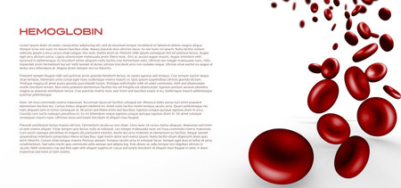 Red blood cells 3d rendering background and blank space. Hemoglobins 3d on blank space.の写真素材