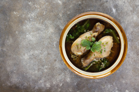Chicken soup, braised chicken soup, chinese food, with celery in brown ceramic bowl on top with coriander and scallion on grey cement texture.の写真素材