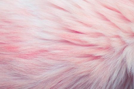 pastel soft wool texture background, cotton wool, light natural sheep wool, close-up texture of...