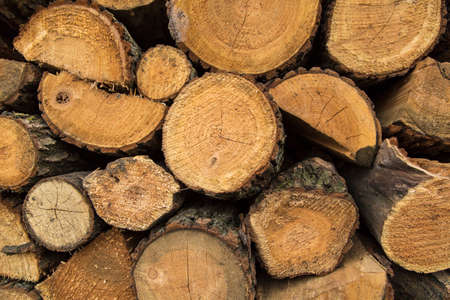 Wood pile stacked and ready for winter, background texture.の写真素材
