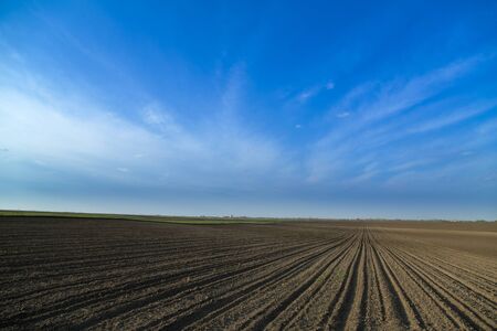Arable land at farmの写真素材