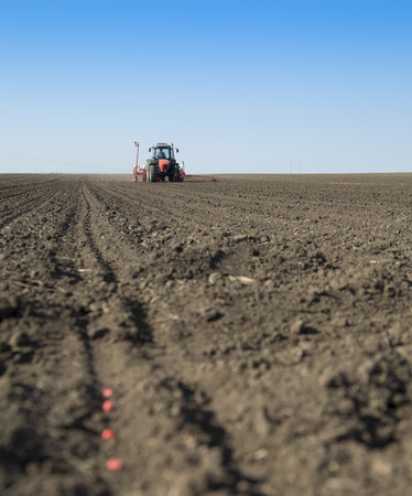 Tractor seeding crops at field.の写真素材