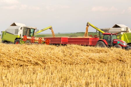 Combine harvester unloading wheat grains into tractor trailerの写真素材