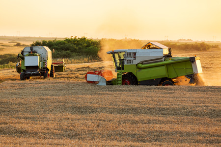 Combine harvesters in action on wheat field sunsetの写真素材