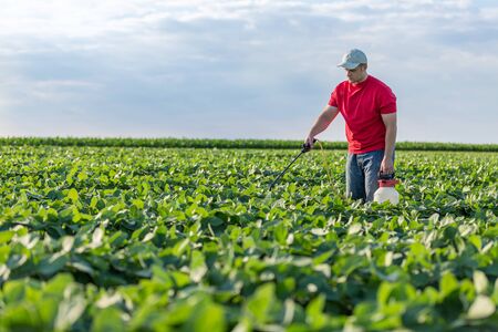 Farmer spraying soybean plantsの写真素材