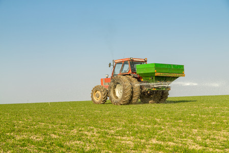 Farmer in tractor fertilizing wheat field at spring with npkの写真素材