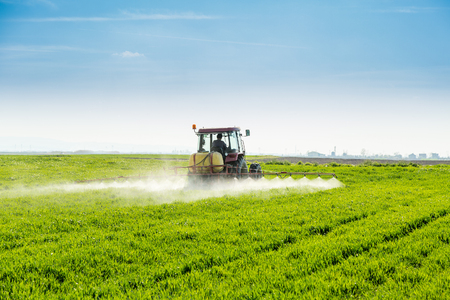 Farmer spraying green wheat fieldの写真素材