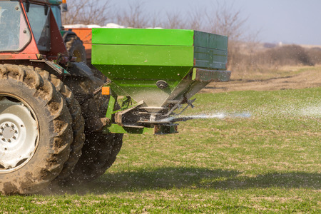 Farmer in tractor fertilizing wheat field at spring with npkの写真素材