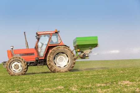 Farmer in tractor fertilizing wheat field at spring with npkの写真素材